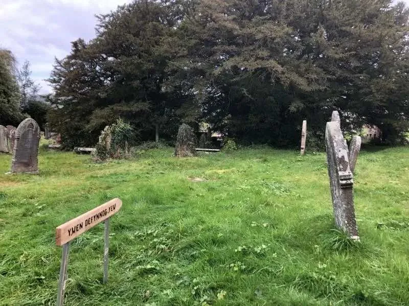 Heritage Scaffolding scaffolding in South Wales — image 3